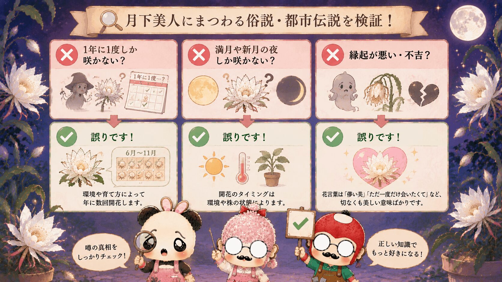 月下美人にまつわる俗説や都市伝説