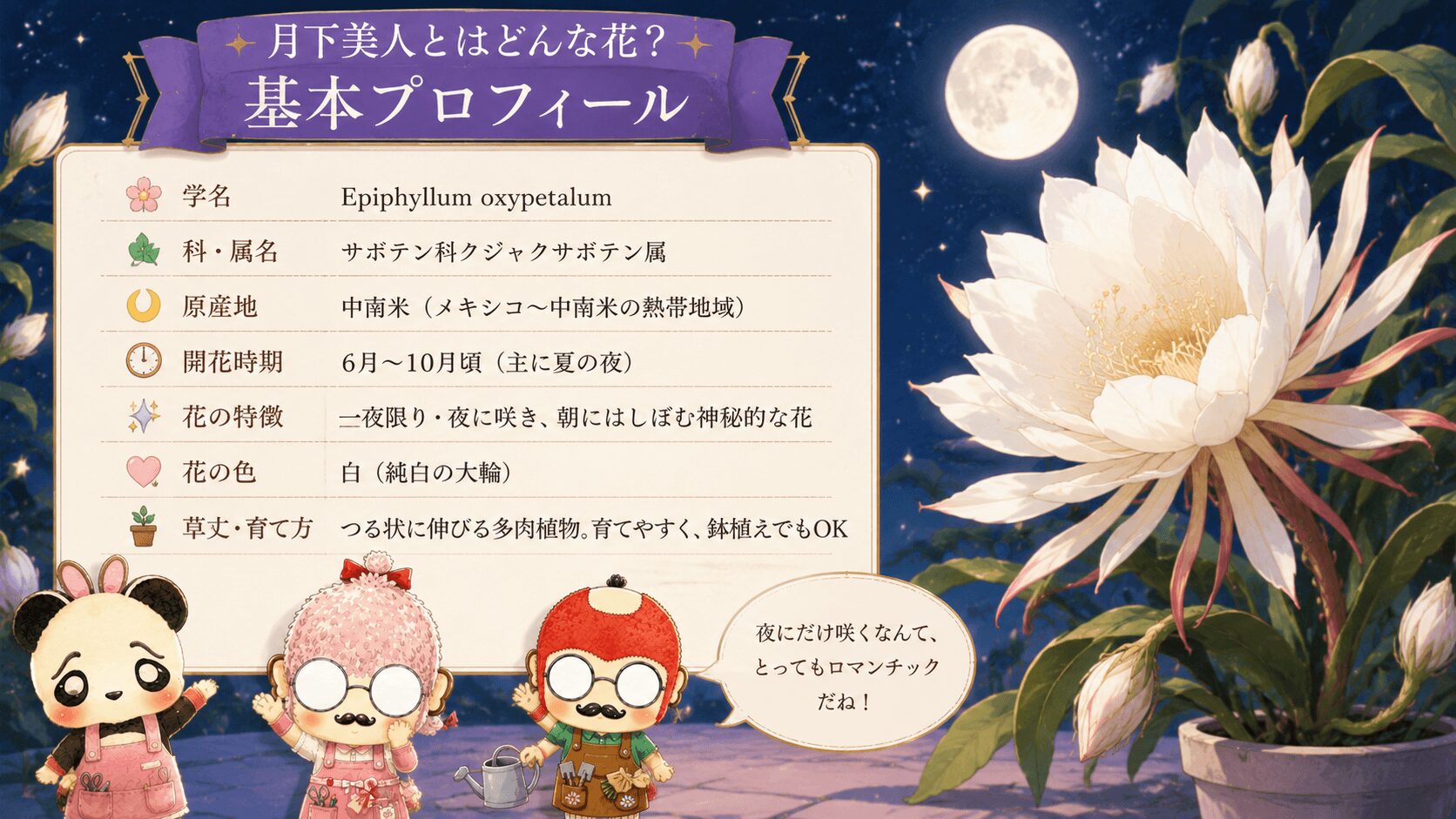 月下美人の基本プロフィール