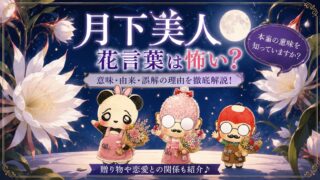 月下美人 花言葉の「怖い」はウソ？由来と正しい意味まとめ