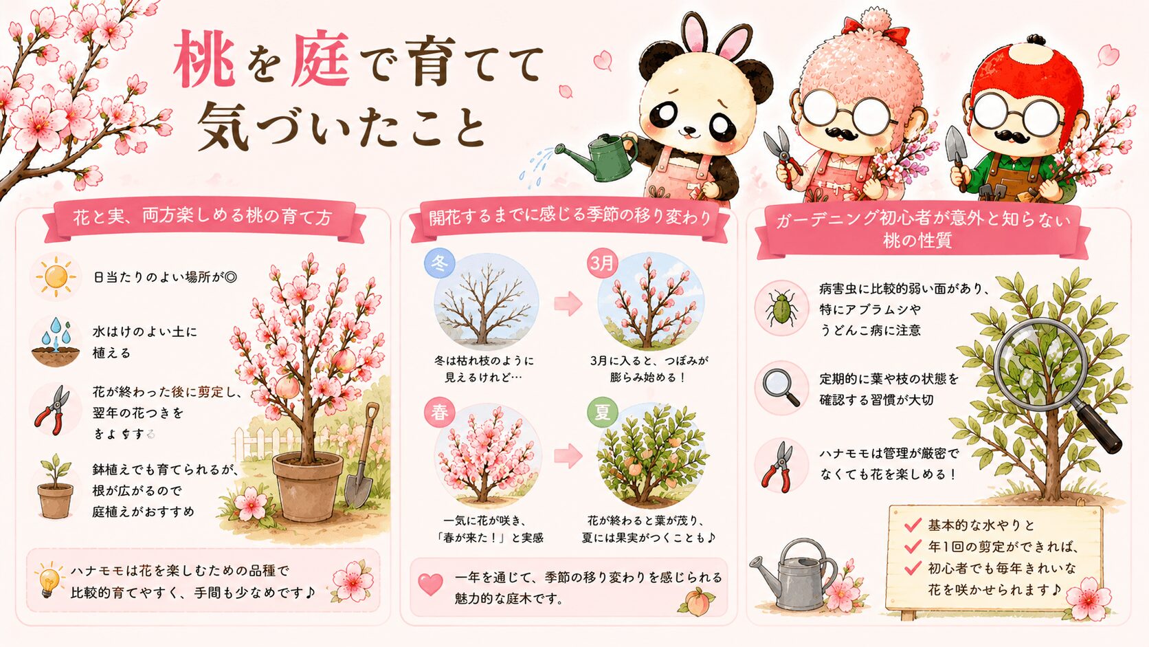 桃の育て方ガイド