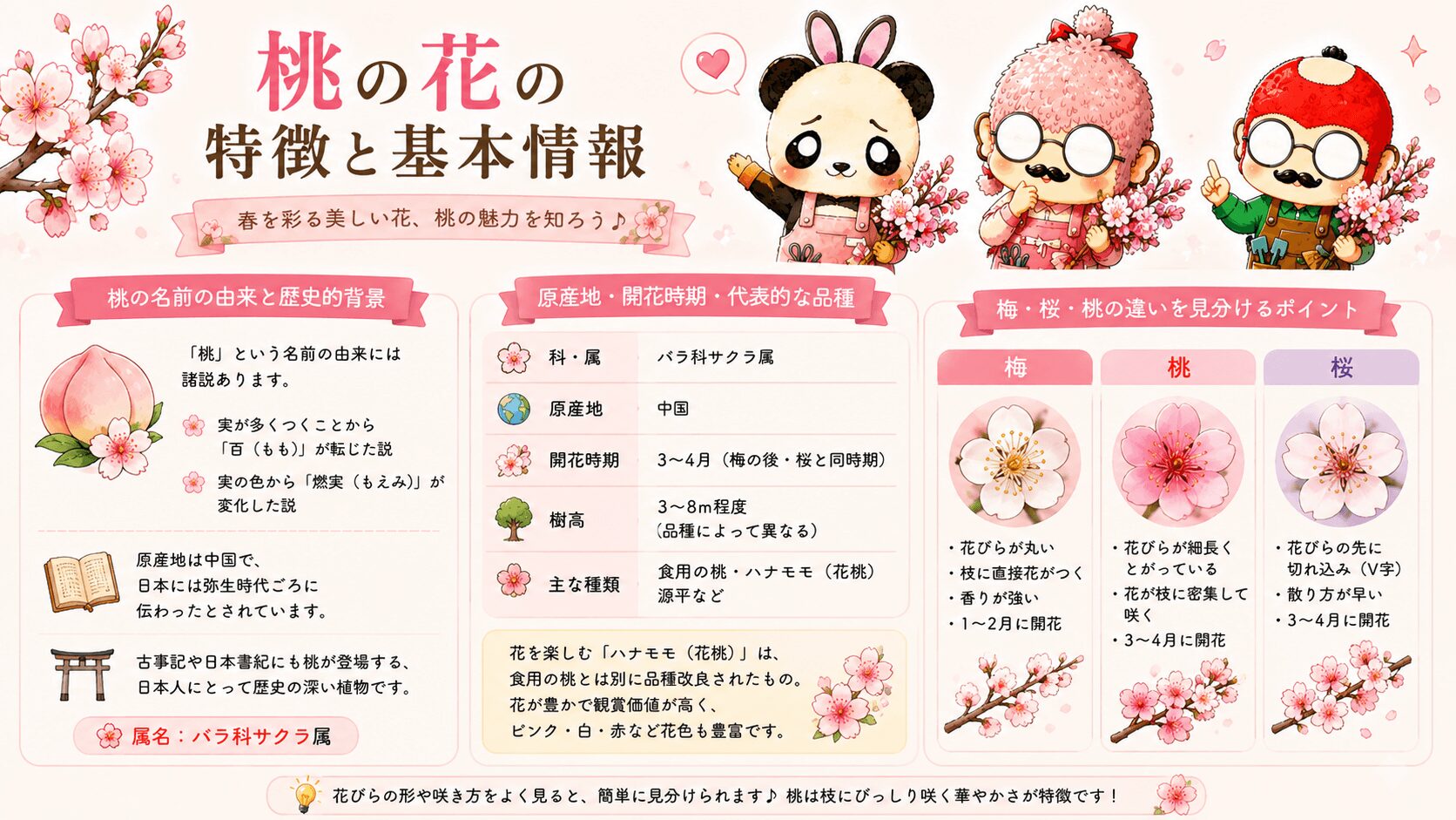 桃の花の魅力と特徴