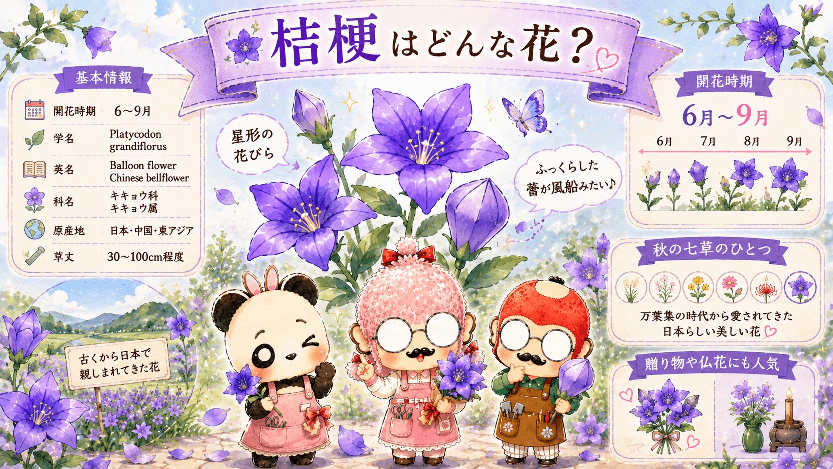 桔梗の基本的な特徴