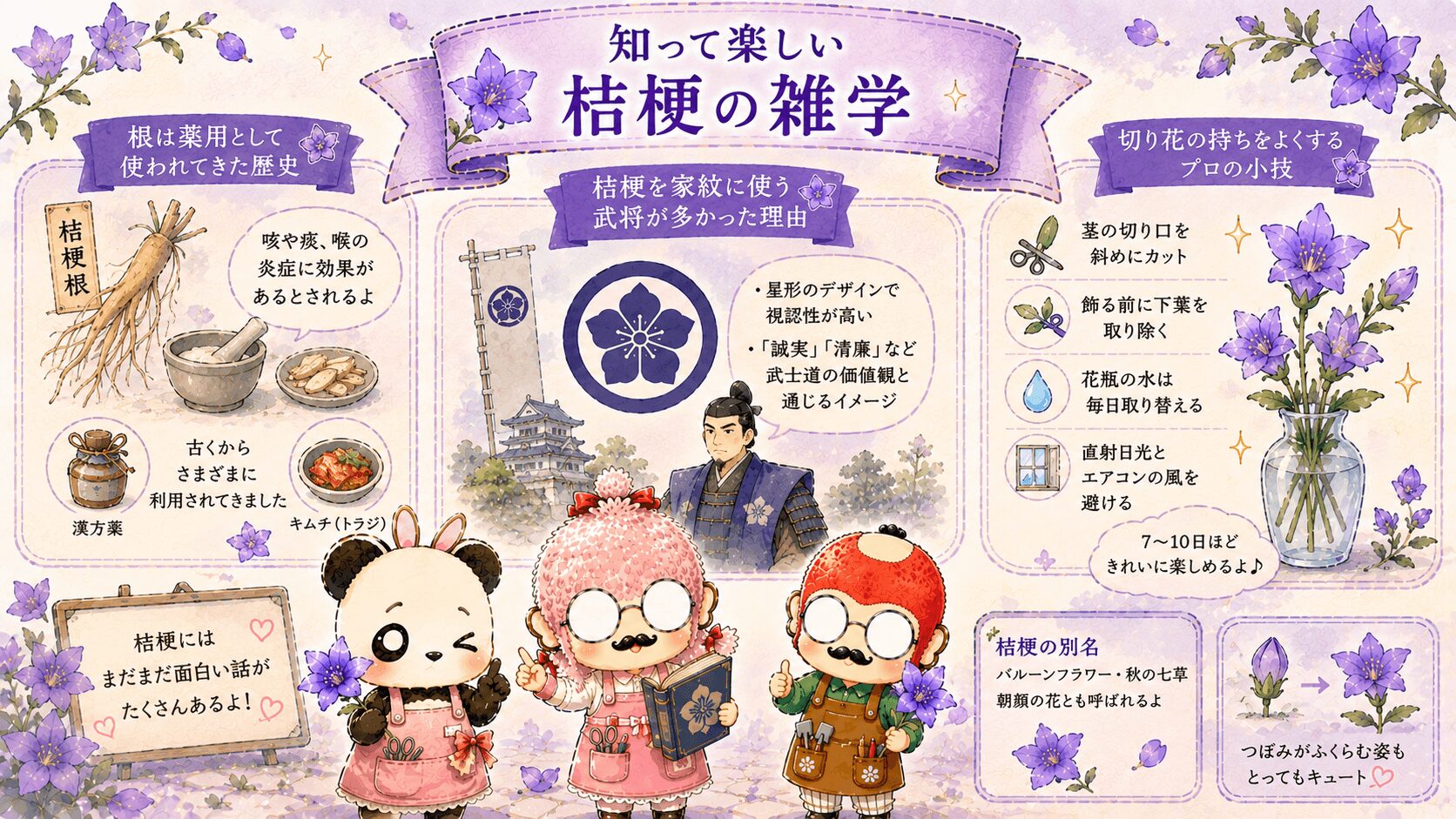 桔梗の雑学
