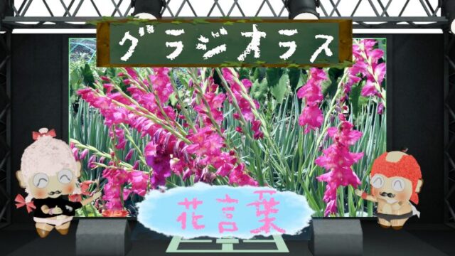 コブシの花言葉とは？春の訪れを象徴する美しい花