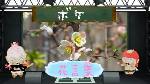 ハナカイドウの花言葉や怖いといわれる理由に迫る！