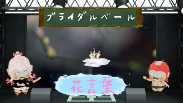 ハナカイドウの花言葉や怖いといわれる理由に迫る！