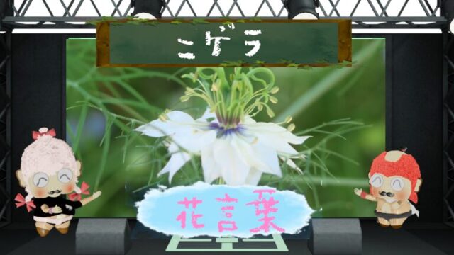 ワイルドストロベリーの花言葉や怖い噂を大解剖！