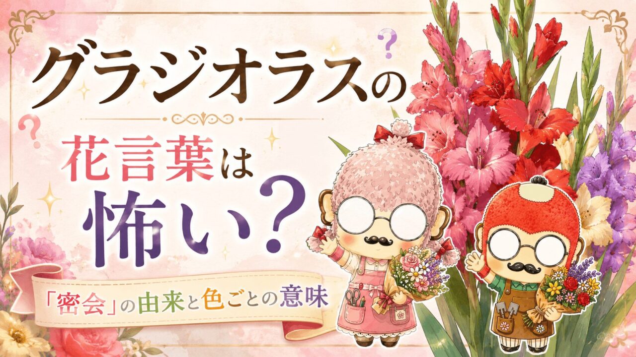 グラジオラスの花言葉は怖い?「密会」の由来と色ごとの意味