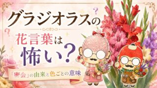 グラジオラスの花言葉は怖い？「密会」の由来と色ごとの意味
