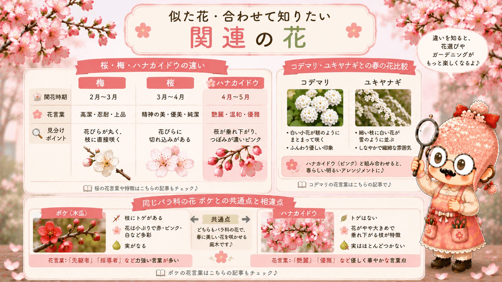 ハナカイドウの花言葉に似た花