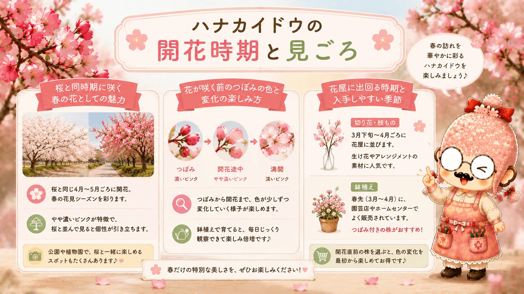 ハナカイドウの開花時期