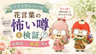 ブライダルベール花言葉の怖い噂を検証｜結婚祝いに最適な理由