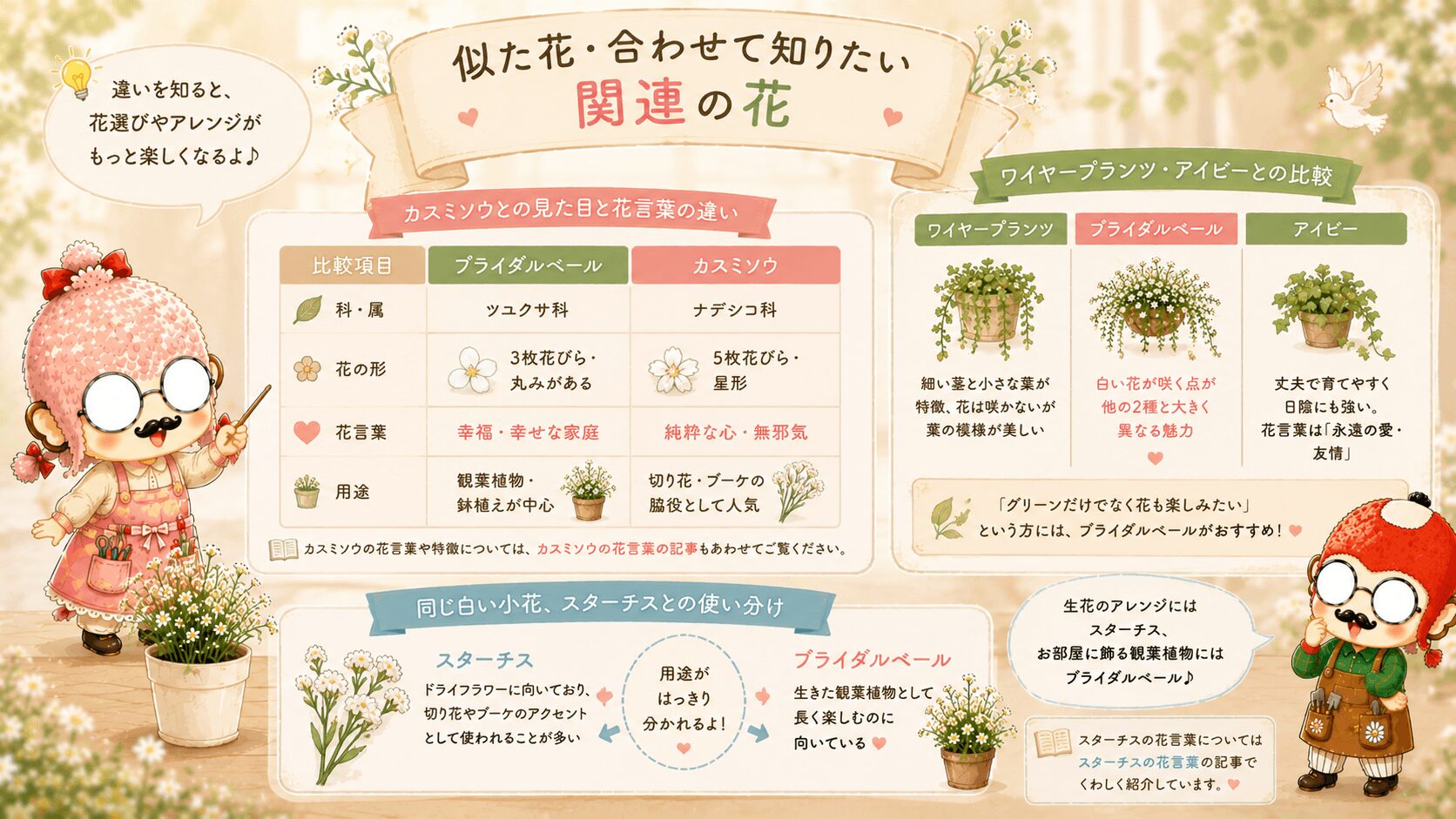 ブライダルベールの花言葉に関する花