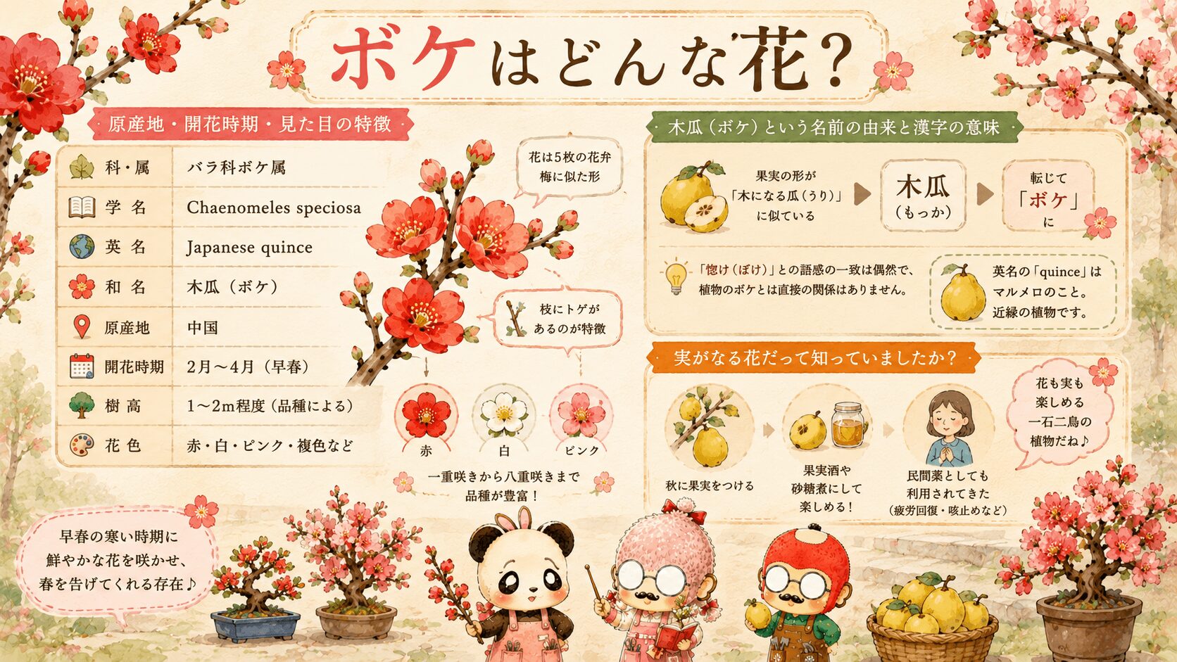ボケとはどんな花