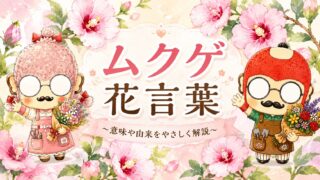 ムクゲの花言葉は怖いと検索した人へ｜安心して贈れる理由を解説
