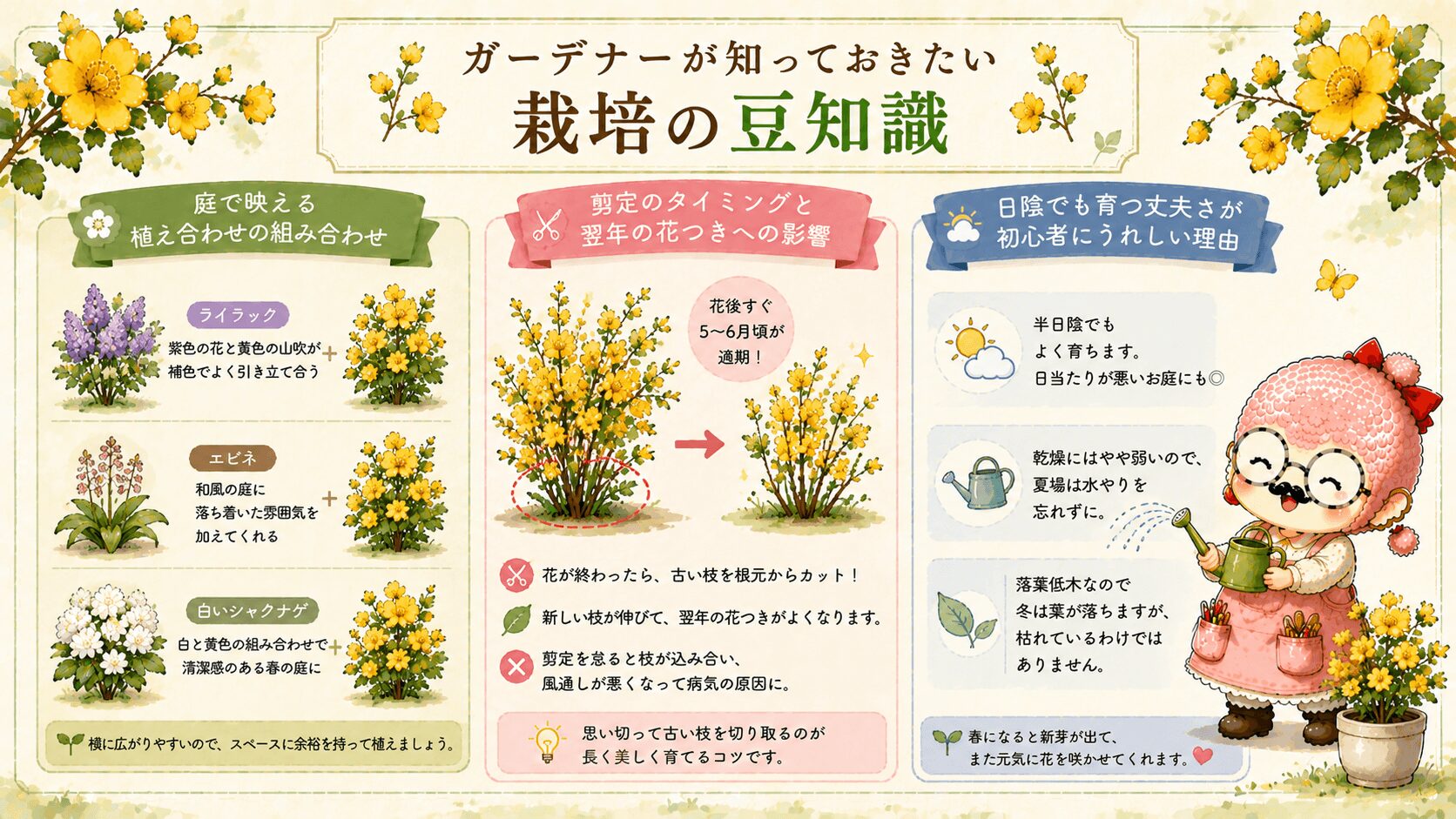 山吹のガーデニング活用
