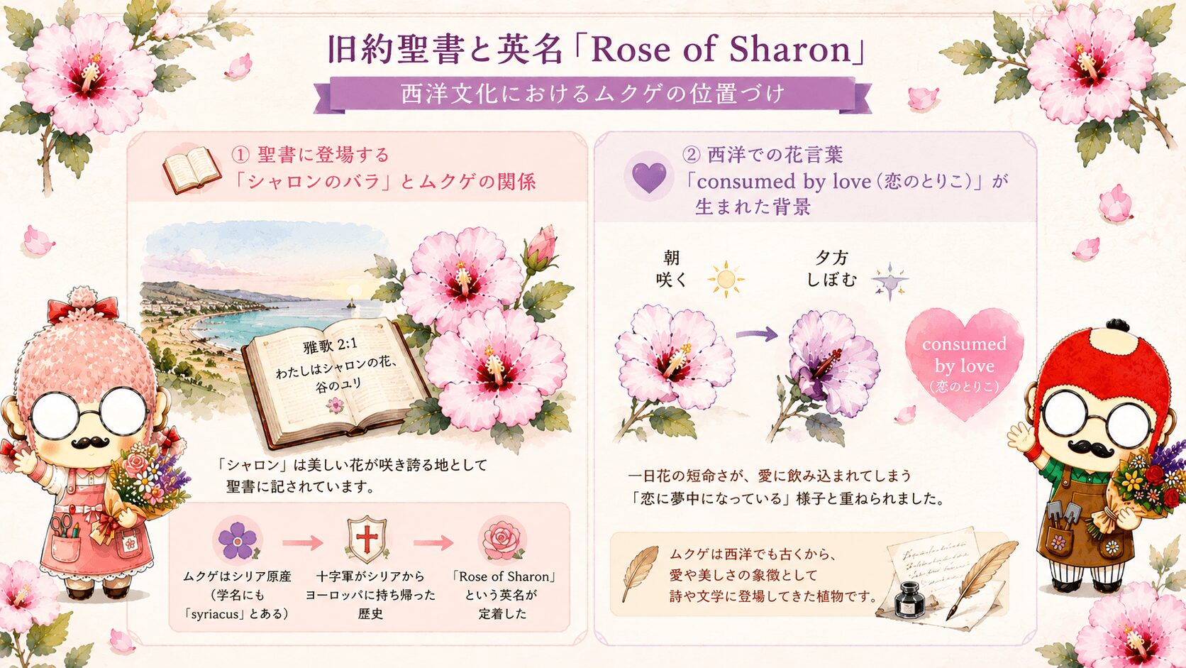 西洋文化とムクゲ
