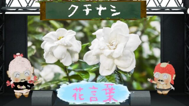 ルピナスの花言葉を解説！色別や由来まで徹底解剖