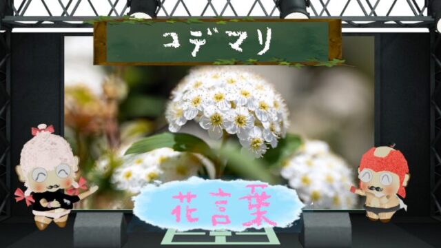 コデマリの花言葉とは？怖い理由や優雅な小花の魅力を解説