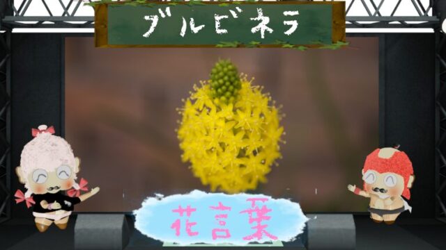 まだブルビネラの花言葉は付けられていない？徹底解説！