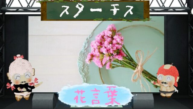 スターチスの花言葉！色別の意味や誕生日もご紹介！