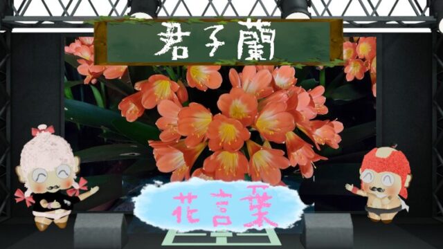 ウツギの花言葉！怖いと言われる由来などを徹底解説！