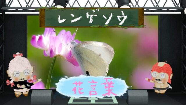レンゲソウと花言葉に込められた魅力を深掘り