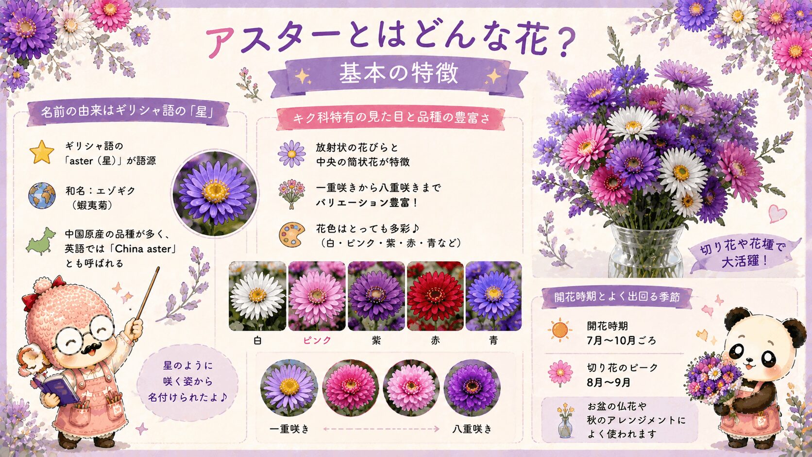 アスターとはどんな花