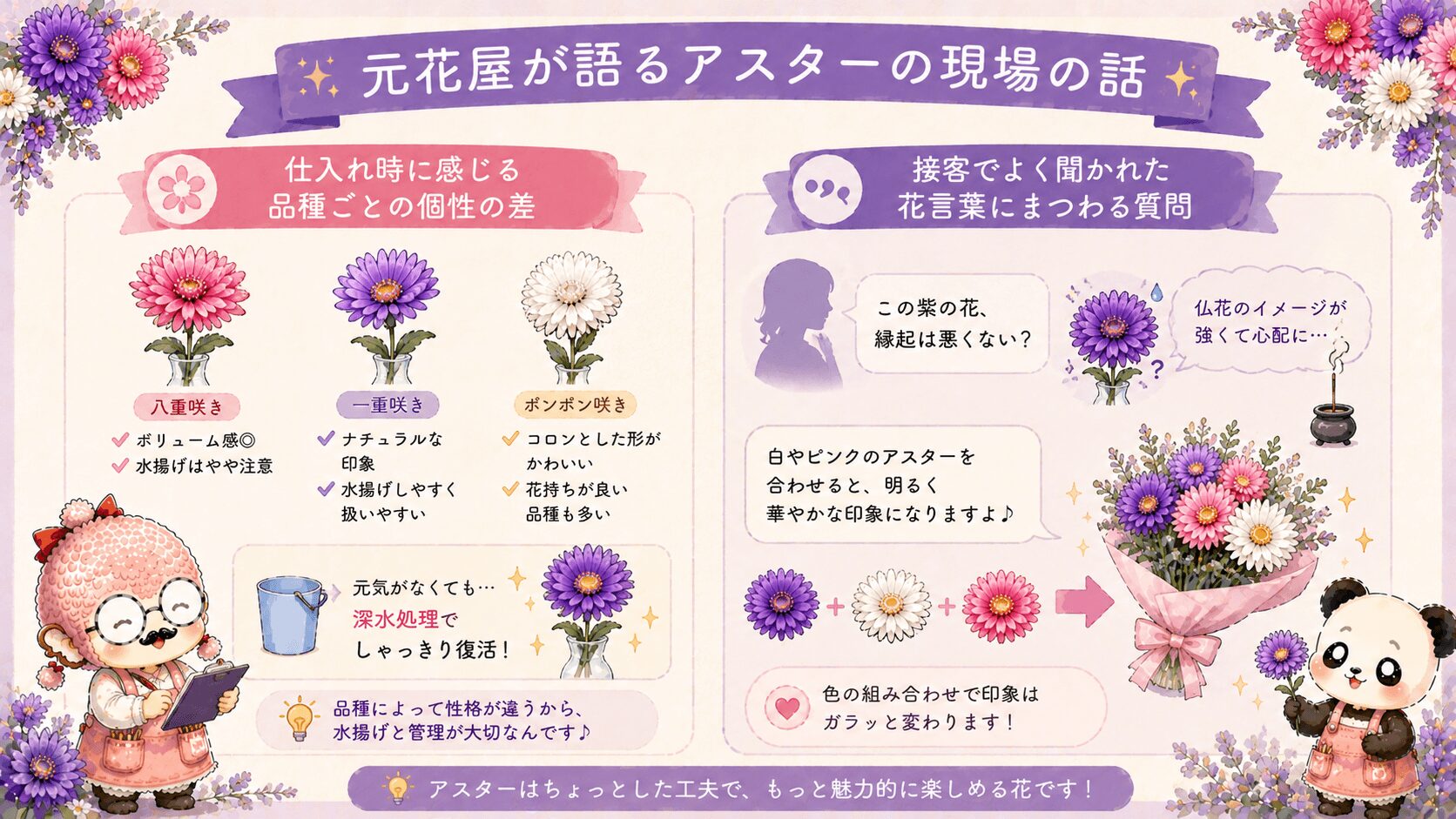 アスターのガーデニング活用