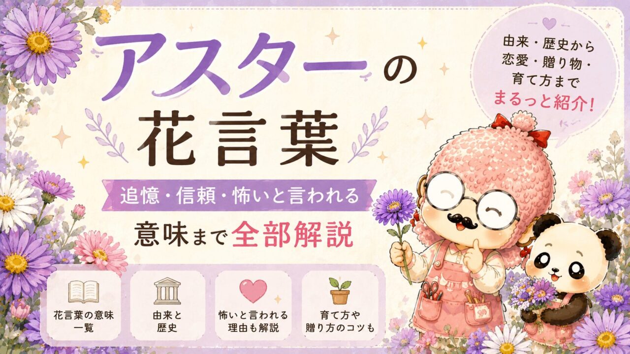 アスターの花言葉|追憶・信頼・怖いと言われる意味まで全部解説