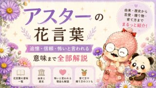 アスターの花言葉｜追憶・信頼・怖いと言われる意味まで全部解説