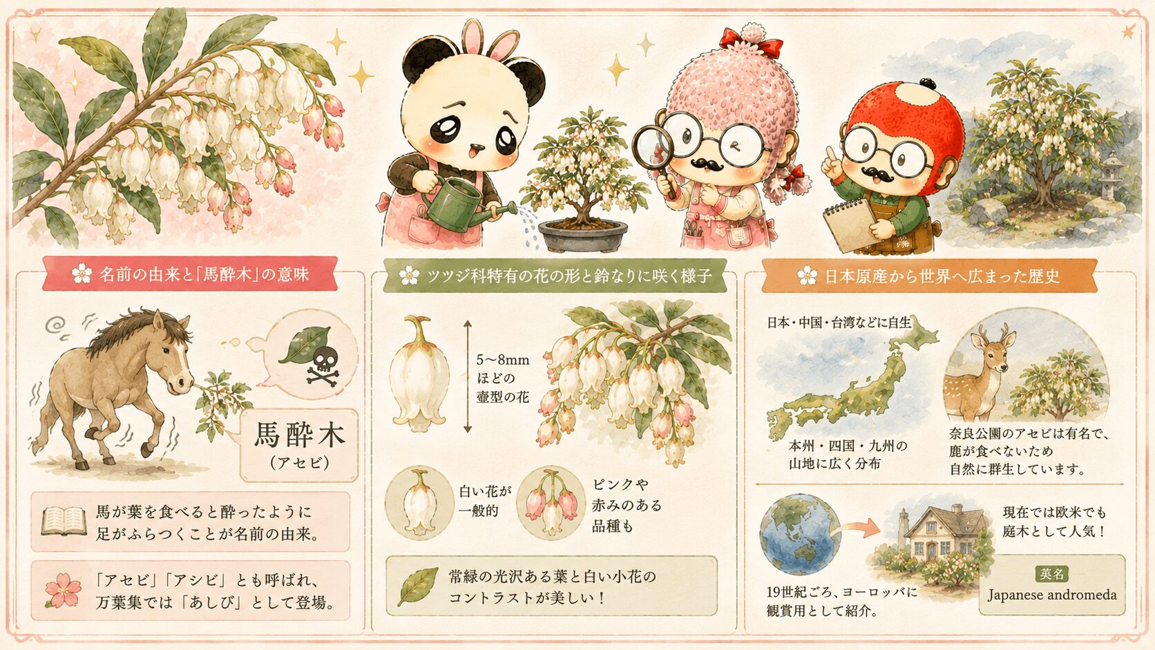 アセビとはどんな植物