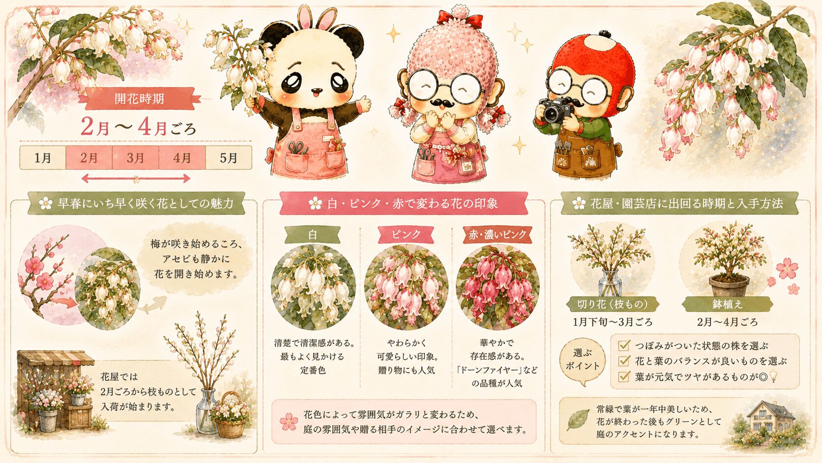 アセビの開花時期