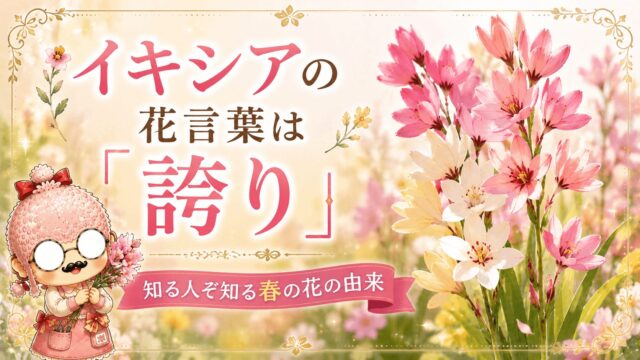ジャーマンアイリスの花言葉は「吉報」｜色別の意味と贈り方