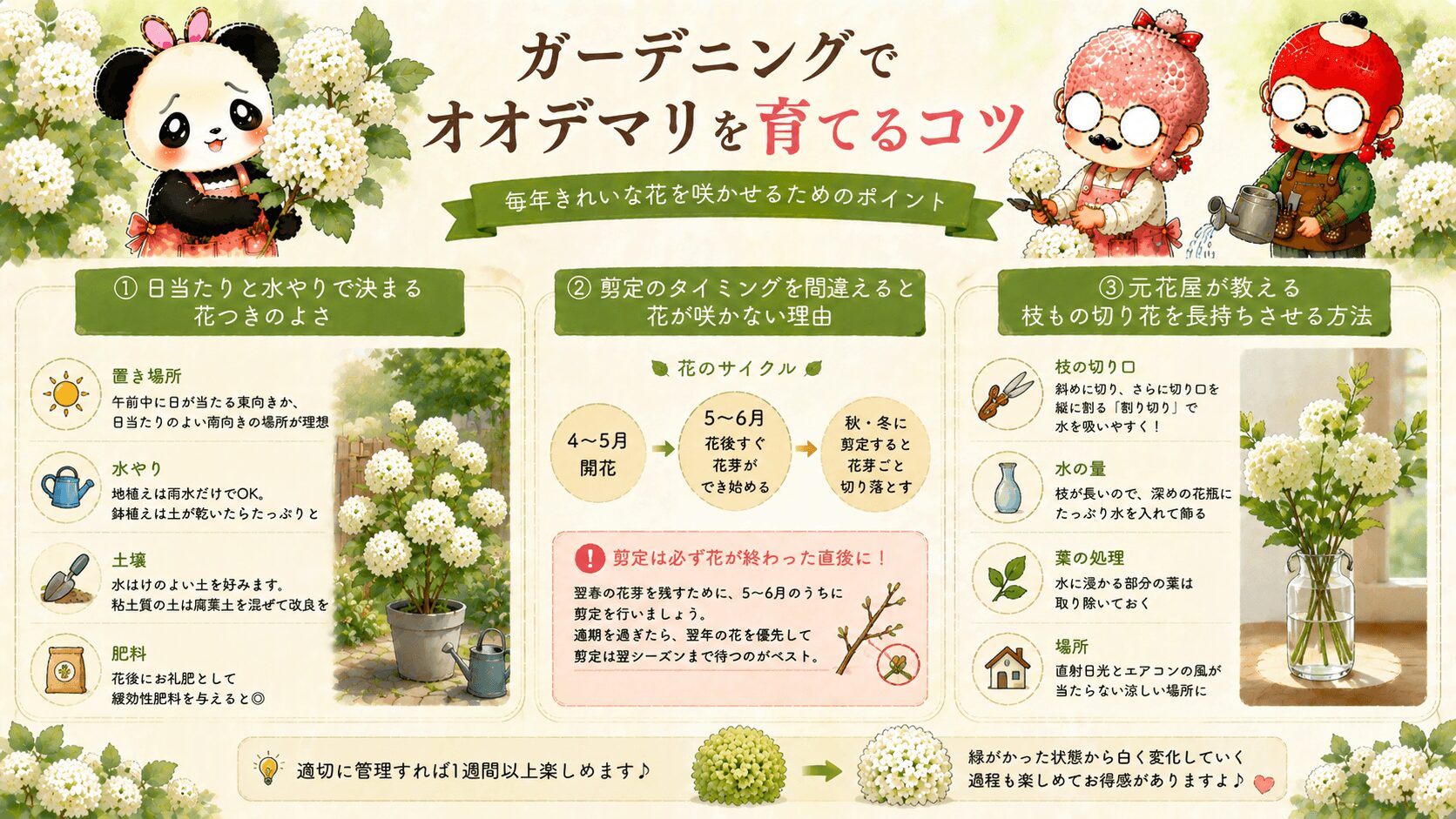 オオデマリのガーデニング活用法