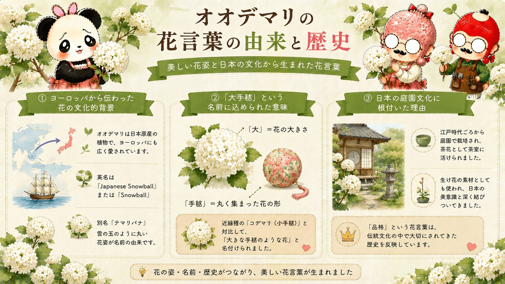 オオデマリの花言葉と歴史