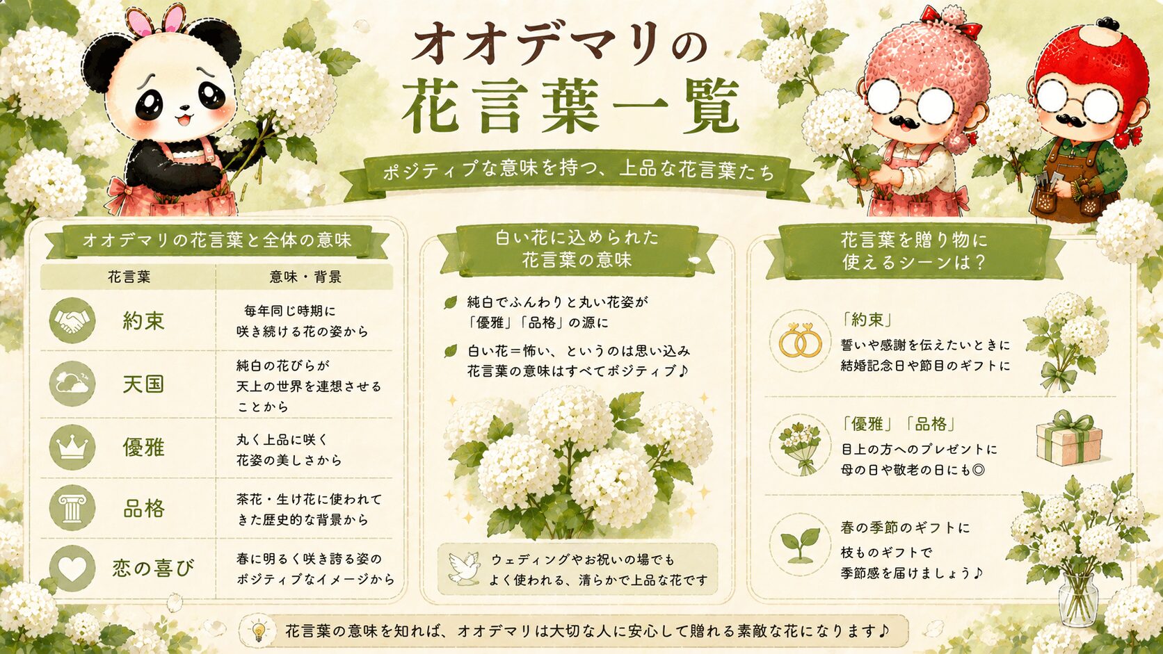 オオデマリの花言葉ガイド