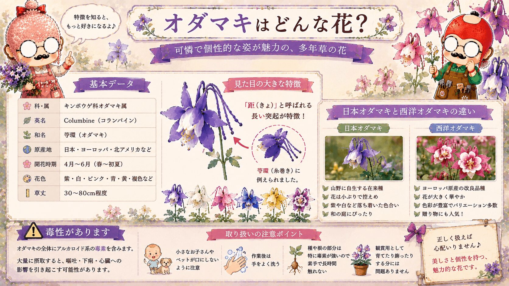 オダマキとはどんな花
