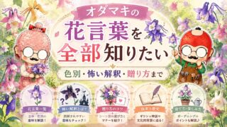 オダマキの花言葉を全部知りたい｜色別・怖い解釈・贈り方まで