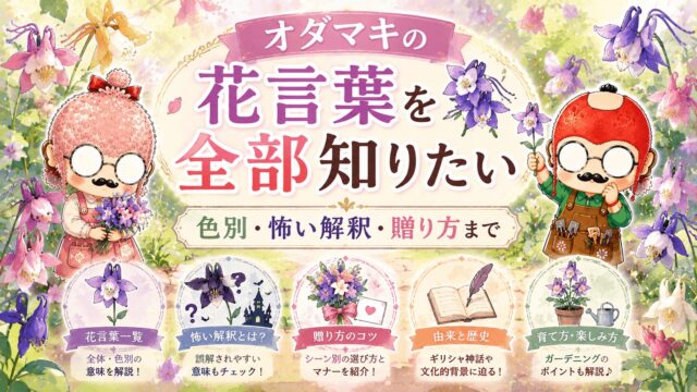オダマキの花言葉を全部知りたい｜色別・怖い解釈・贈り方まで