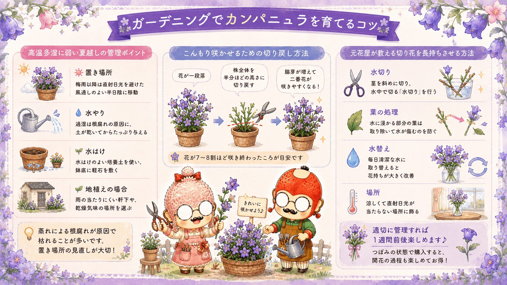 カンパニュラのガーデニング活用
