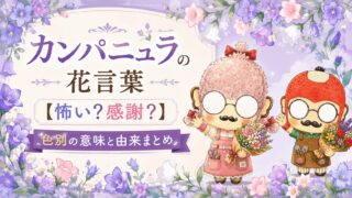 カンパニュラの花言葉【怖い？感謝？】色別の意味と由来まとめ