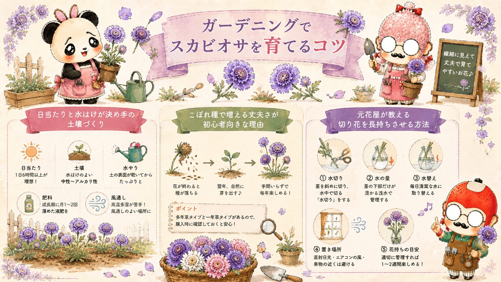 ガーデニングのスカビオサガイド