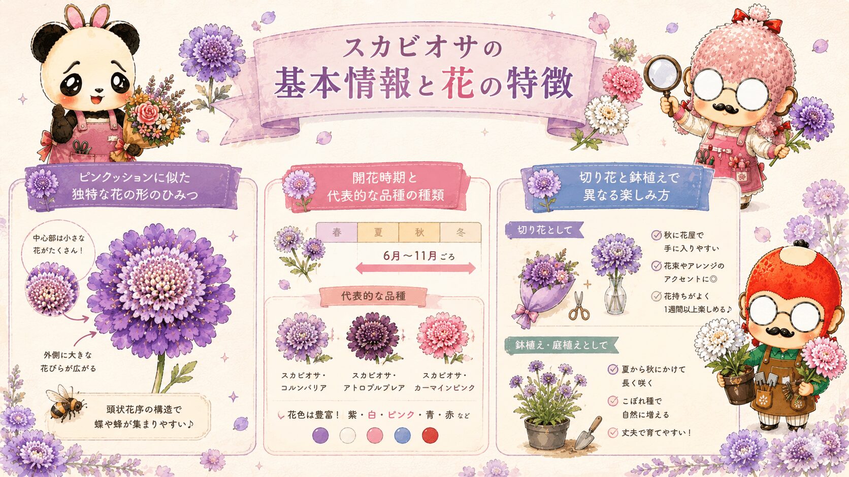 スカビオサの基本情報