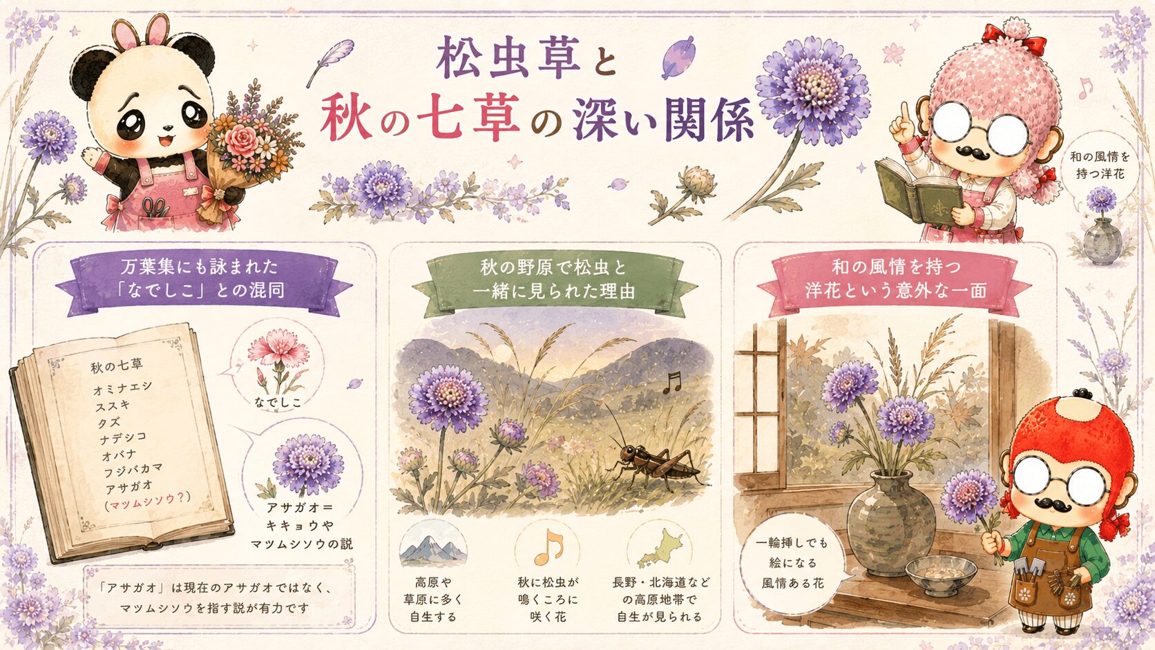 スカビオサの秋の野花と松虫草の関係