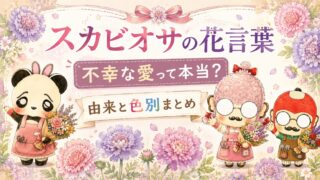 スカビオサの花言葉｜不幸な愛って本当？由来と色別まとめ