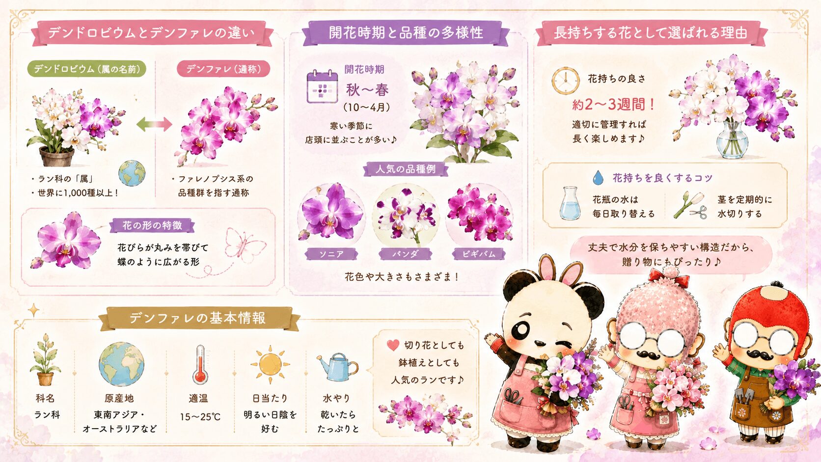 デンファレの基本情報
