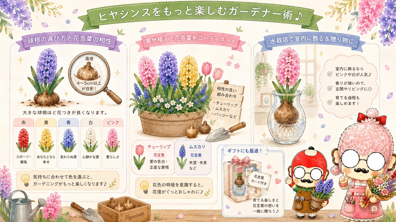 ヒヤシンスの活用術
