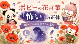 ポピーの花言葉「怖い」の正体｜眠りと忘却に隠された意味