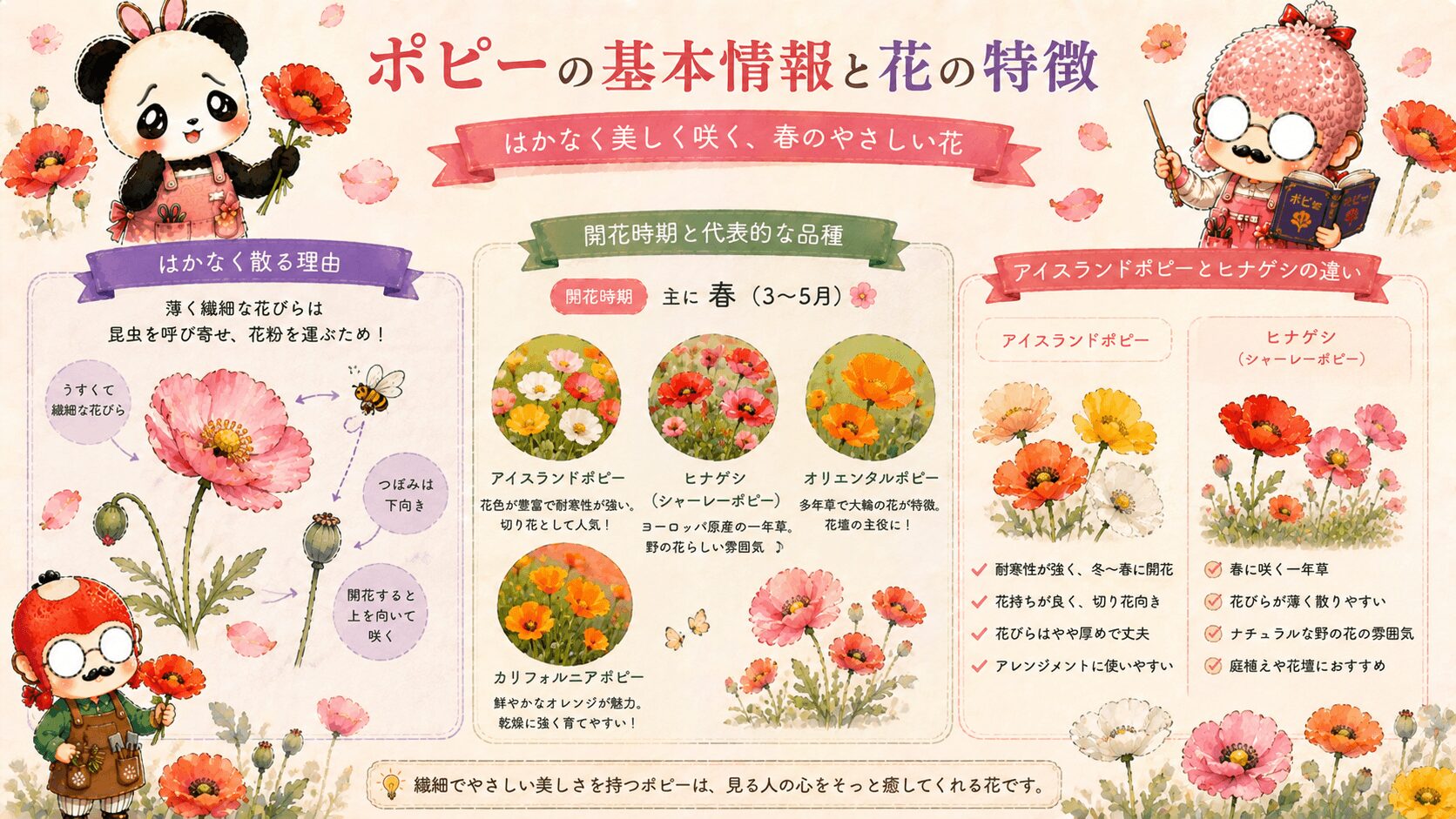 ポピーの花と特徴ガイド